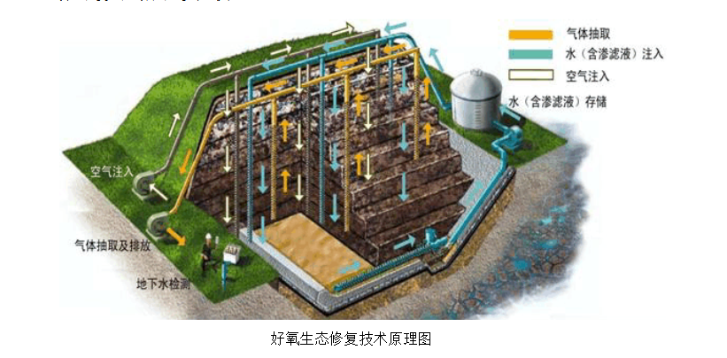 好氧生態(tài)修復技術原理圖.png